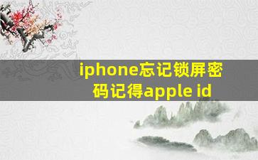 iphone忘记锁屏密码记得apple id